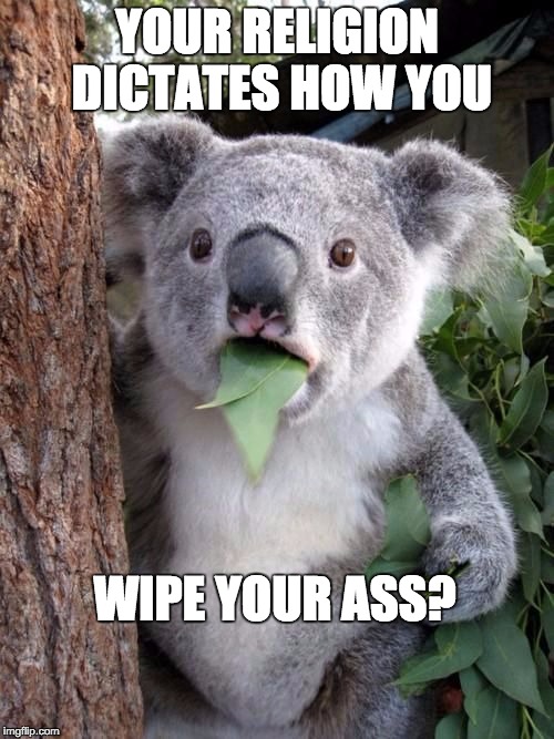 WTF Koala | YOUR RELIGION DICTATES HOW YOU WIPE YOUR ASS? | image tagged in wtf koala | made w/ Imgflip meme maker