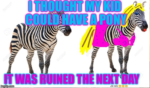 I THOUGHT MY KID COULD HAVE A PONY IT WAS RUINED THE NEXT DAY | image tagged in memes | made w/ Imgflip meme maker