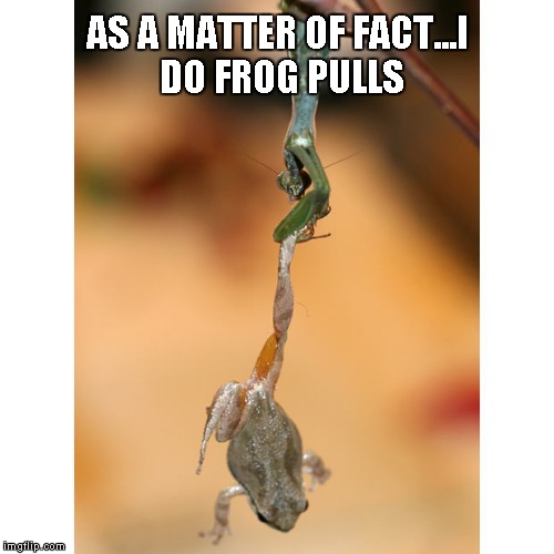 AS A MATTER OF FACT...I DO FROG PULLS | made w/ Imgflip meme maker