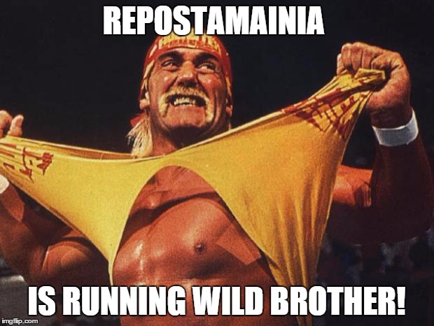 After seeing like...four | REPOSTAMAINIA IS RUNNING WILD BROTHER! | image tagged in hulk hogan | made w/ Imgflip meme maker