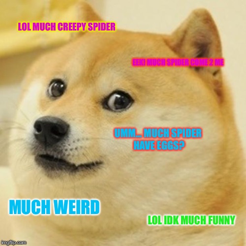 Doge Meme | LOL MUCH CREEPY SPIDER EEK! MUCH SPIDER COME 2 ME UMM... MUCH SPIDER HAVE EGGS? MUCH WEIRD LOL IDK MUCH FUNNY | image tagged in memes,doge | made w/ Imgflip meme maker