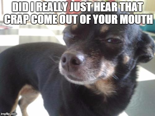 Skeptical Chihuahua | DID I REALLY JUST HEAR THAT CRAP COME OUT OF YOUR MOUTH | image tagged in skeptical chihuahua | made w/ Imgflip meme maker