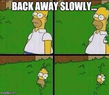 BACK AWAY SLOWLY... | made w/ Imgflip meme maker