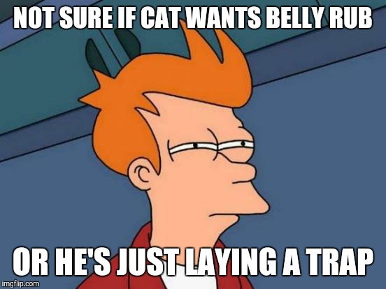 Jerk Cat | NOT SURE IF CAT WANTS BELLY RUB OR HE'S JUST LAYING A TRAP | image tagged in memes,futurama fry,cat,trap,jerk,not sure if | made w/ Imgflip meme maker