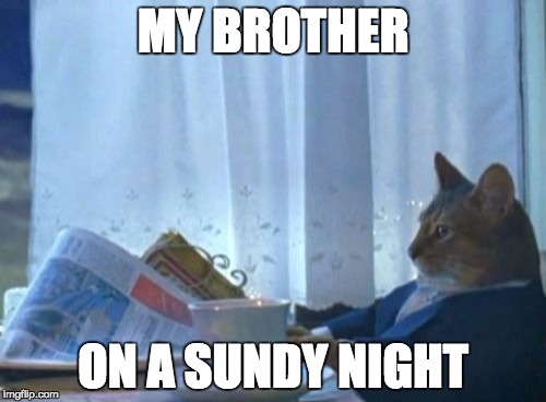 I Should Buy A Boat Cat | MY BROTHER ON A SUNDY NIGHT | image tagged in memes,i should buy a boat cat | made w/ Imgflip meme maker