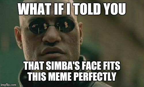 Matrix Morpheus Meme | WHAT IF I TOLD YOU THAT SIMBA'S FACE FITS THIS MEME PERFECTLY | image tagged in memes,matrix morpheus | made w/ Imgflip meme maker