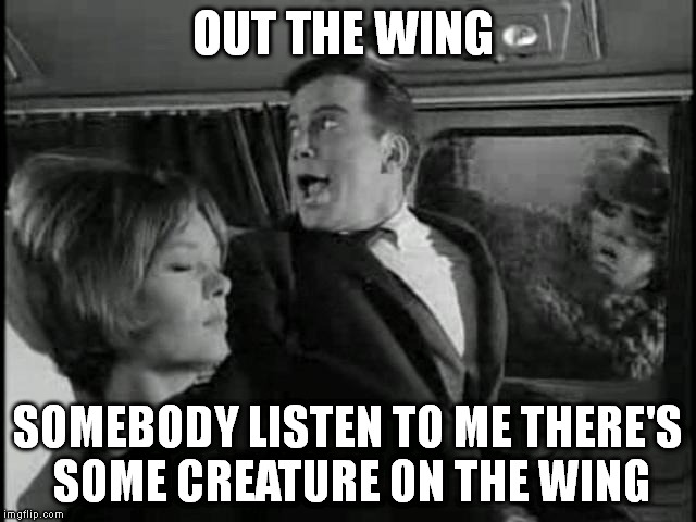 OUT THE WING SOMEBODY LISTEN TO ME THERE'S SOME CREATURE ON THE WING | made w/ Imgflip meme maker