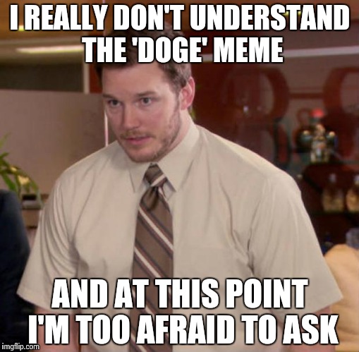 and at this point I am too afraid to ask | I REALLY DON'T UNDERSTAND THE 'DOGE' MEME AND AT THIS POINT I'M TOO AFRAID TO ASK | image tagged in and at this point i am to afraid to ask | made w/ Imgflip meme maker