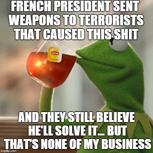 But That's None Of My Business | FRENCH PRESIDENT SENT WEAPONS TO TERRORISTS THAT CAUSED THIS SHIT AND THEY STILL BELIEVE HE'LL SOLVE IT... BUT THAT'S NONE OF MY BUSINESS | image tagged in memes,but thats none of my business,kermit the frog | made w/ Imgflip meme maker