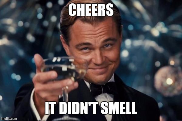 Leonardo Dicaprio Cheers Meme | CHEERS IT DIDN'T SMELL | image tagged in memes,leonardo dicaprio cheers | made w/ Imgflip meme maker