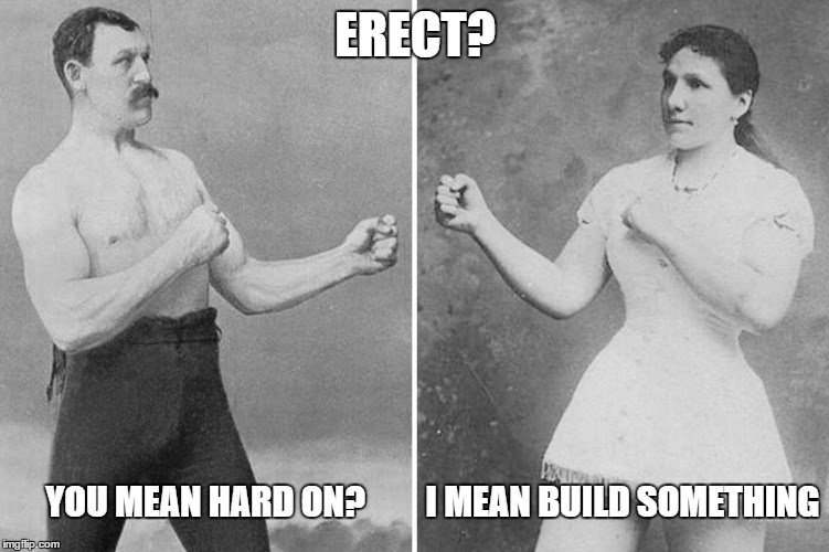 overly manly marriage | ERECT? YOU MEAN HARD ON? I MEAN BUILD SOMETHING | image tagged in overly manly marriage,memes,meme,overly manly man | made w/ Imgflip meme maker