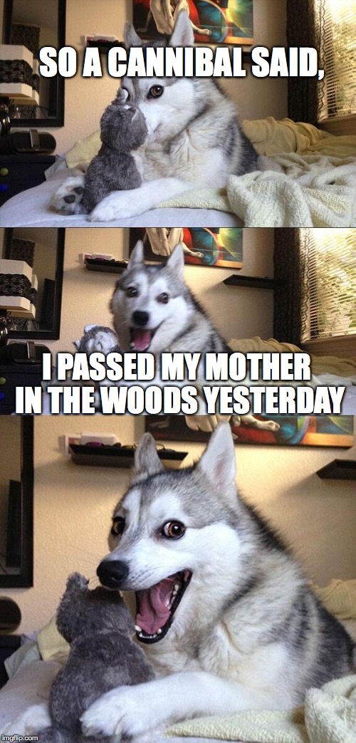 Cannibal Pun | SO A CANNIBAL SAID, I PASSED MY MOTHER IN THE WOODS YESTERDAY | image tagged in memes,bad pun dog | made w/ Imgflip meme maker