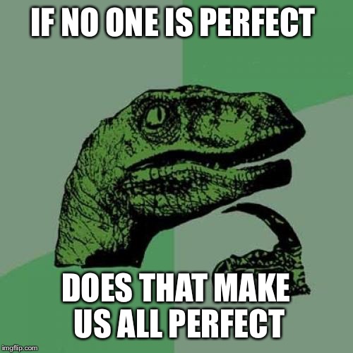 Philosoraptor Meme | IF NO ONE IS PERFECT DOES THAT MAKE US ALL PERFECT | image tagged in memes,philosoraptor | made w/ Imgflip meme maker