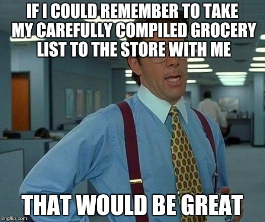 That Would Be Great | IF I COULD REMEMBER TO TAKE MY CAREFULLY COMPILED GROCERY LIST TO THE STORE WITH ME THAT WOULD BE GREAT | image tagged in memes,that would be great | made w/ Imgflip meme maker