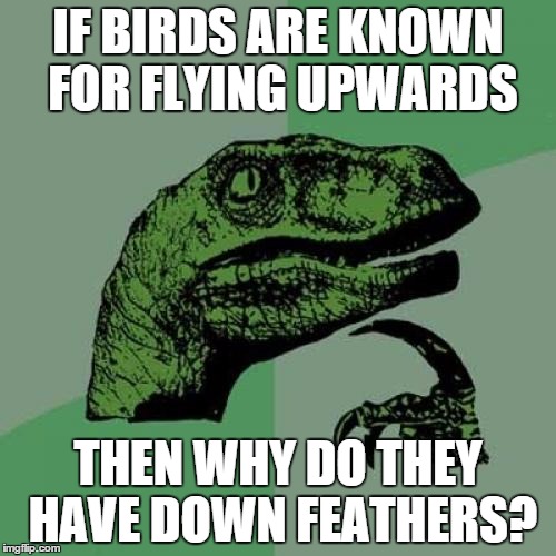 Philosoraptor Meme | IF BIRDS ARE KNOWN FOR FLYING UPWARDS THEN WHY DO THEY HAVE DOWN FEATHERS? | image tagged in memes,philosoraptor | made w/ Imgflip meme maker