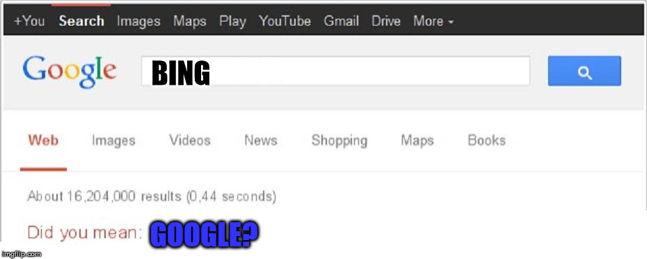 Why doesn't Google do that? | BING GOOGLE? | image tagged in did you mean,google,bing,rivalry | made w/ Imgflip meme maker