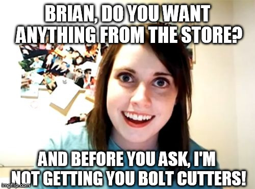 It puts the lotion on its skin or else it gets the hose again! | BRIAN, DO YOU WANT ANYTHING FROM THE STORE? AND BEFORE YOU ASK, I'M NOT GETTING YOU BOLT CUTTERS! | image tagged in memes,overly attached girlfriend,bad luck brian,silence of the lambs | made w/ Imgflip meme maker