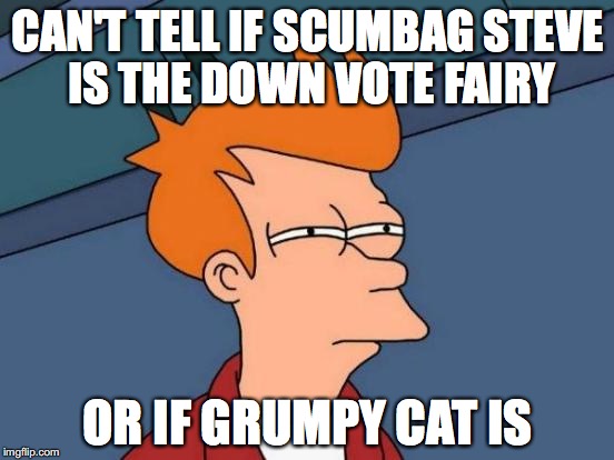 Futurama Fry | CAN'T TELL IF SCUMBAG STEVE IS THE DOWN VOTE FAIRY OR IF GRUMPY CAT IS | image tagged in memes,futurama fry | made w/ Imgflip meme maker