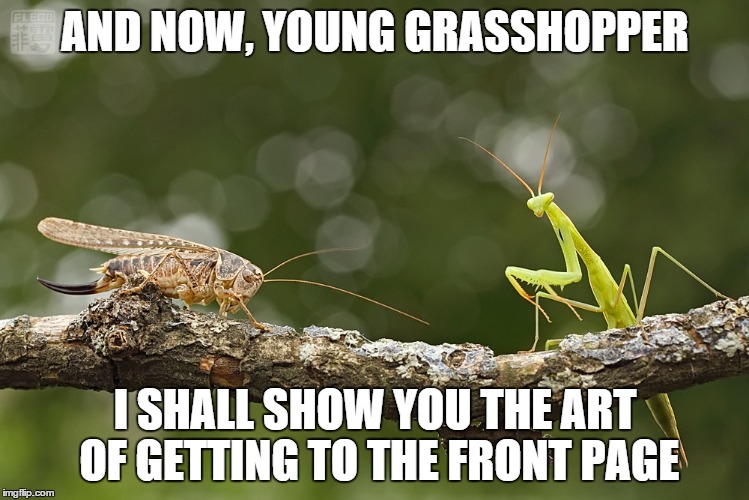 Grasshopper must train if he ever wants to reach the level of Sensei Mantis... | AND NOW, YOUNG GRASSHOPPER I SHALL SHOW YOU THE ART OF GETTING TO THE FRONT PAGE | image tagged in memes,funny,mantis | made w/ Imgflip meme maker