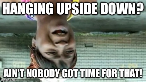 Ain't Nobody Got Time For That | HANGING UPSIDE DOWN? AIN'T NOBODY GOT TIME FOR THAT! | image tagged in memes,aint nobody got time for that | made w/ Imgflip meme maker