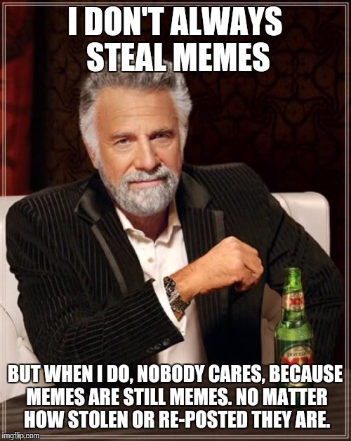 Memes are memes. | I DON'T ALWAYS STEAL MEMES BUT WHEN I DO, NOBODY CARES, BECAUSE MEMES ARE STILL MEMES. NO MATTER HOW STOLEN OR RE-POSTED THEY ARE. | image tagged in memes,the most interesting man in the world | made w/ Imgflip meme maker
