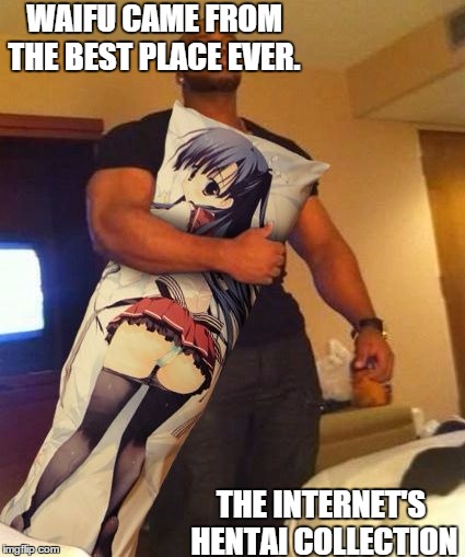 Hentai | WAIFU CAME FROM THE BEST PLACE EVER. THE INTERNET'S HENTAI COLLECTION | image tagged in hentai | made w/ Imgflip meme maker
