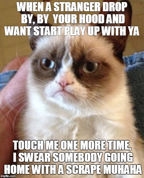 Grumpy Cat Meme | WHEN A STRANGER DROP BY, BY  YOUR HOOD AND WANT START PLAY UP WITH YA TOUCH ME ONE MORE TIME, I SWEAR SOMEBODY GOING HOME WITH A SCRAPE MUHA | image tagged in memes,grumpy cat | made w/ Imgflip meme maker