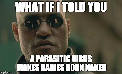 Ive fooled so may people with this x) | WHAT IF I TOLD YOU A PARASITIC VIRUS MAKES BABIES BORN NAKED | image tagged in memes,matrix morpheus,babies,naked | made w/ Imgflip meme maker