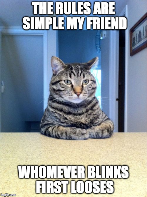 Take A Seat Cat Meme | THE RULES ARE SIMPLE MY FRIEND WHOMEVER BLINKS FIRST LOOSES | image tagged in memes,take a seat cat | made w/ Imgflip meme maker