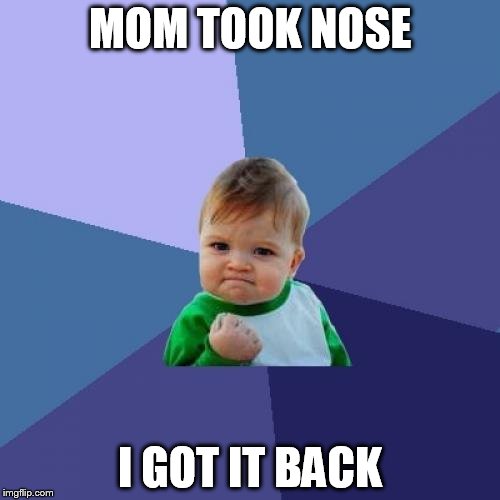 Success Kid | MOM TOOK NOSE I GOT IT BACK | image tagged in memes,success kid | made w/ Imgflip meme maker