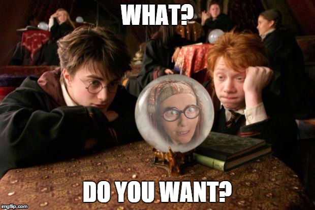 Harry potter what | DO YOU WANT? | image tagged in funny | made w/ Imgflip meme maker