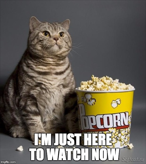 Cat eating popcorn | I'M JUST HERE TO WATCH NOW | image tagged in cat eating popcorn | made w/ Imgflip meme maker