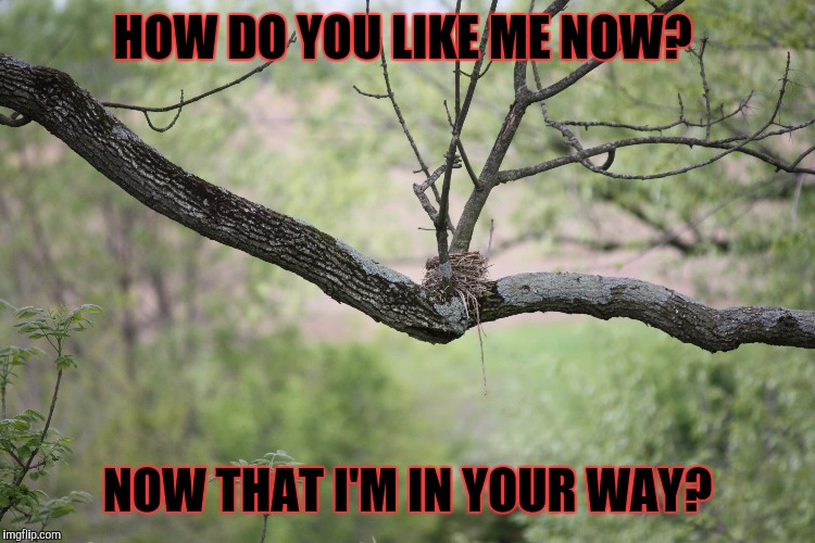 HOW DO YOU LIKE ME NOW? NOW THAT I'M IN YOUR WAY? | made w/ Imgflip meme maker