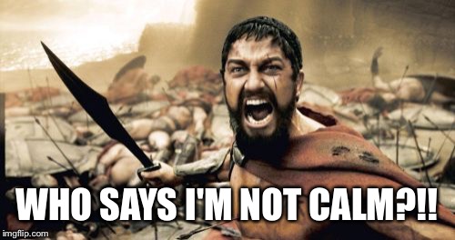 Sparta Leonidas | WHO SAYS I'M NOT CALM?!! | image tagged in memes,sparta leonidas | made w/ Imgflip meme maker