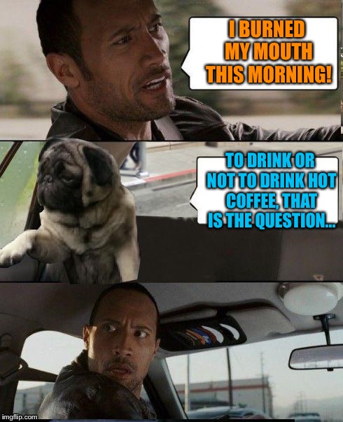 The Rock driving | I BURNED MY MOUTH THIS MORNING! TO DRINK OR NOT TO DRINK HOT COFFEE, THAT IS THE QUESTION... | image tagged in rock driving pug,memes,the rock driving | made w/ Imgflip meme maker
