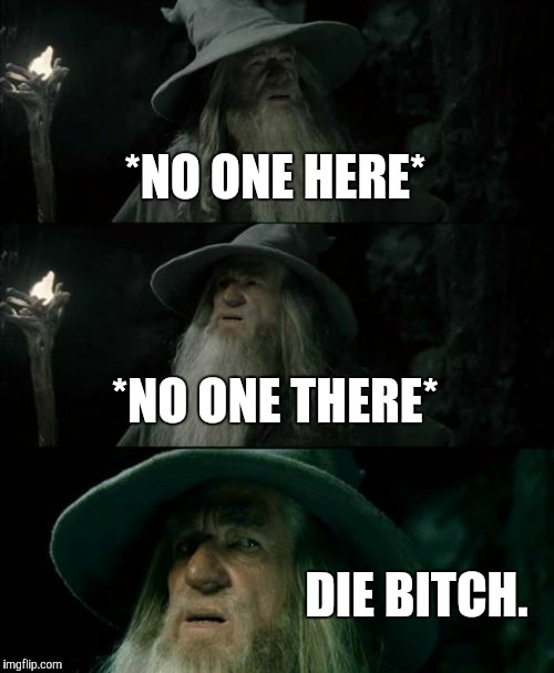 Confused Gandalf Meme | *NO ONE HERE* *NO ONE THERE* DIE B**CH. | image tagged in memes,confused gandalf | made w/ Imgflip meme maker