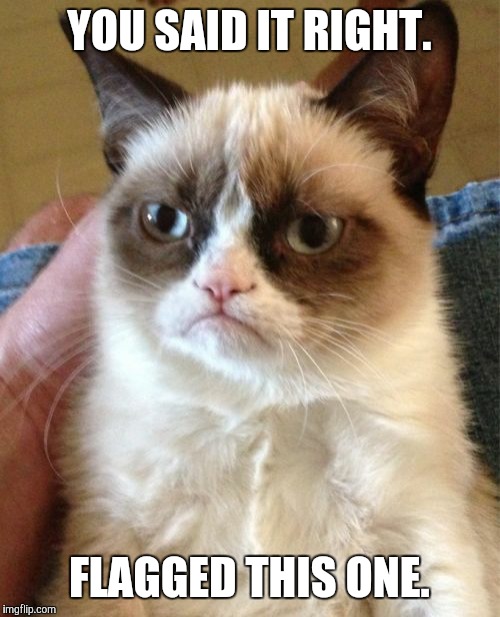 Grumpy Cat Meme | YOU SAID IT RIGHT. FLAGGED THIS ONE. | image tagged in memes,grumpy cat | made w/ Imgflip meme maker