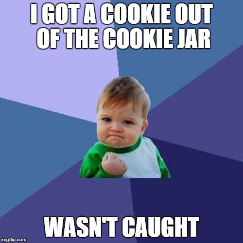 Success Kid Meme | I GOT A COOKIE OUT OF THE COOKIE JAR WASN'T CAUGHT | image tagged in memes,success kid | made w/ Imgflip meme maker