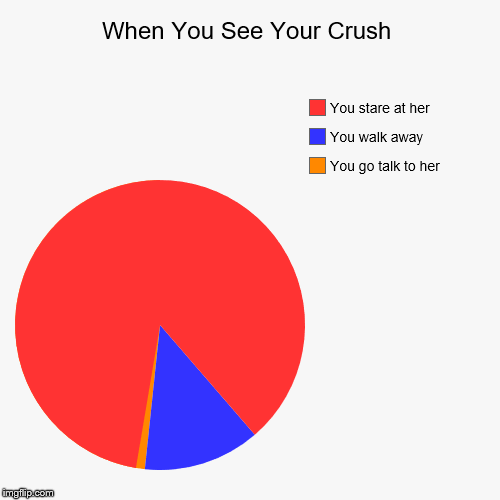 image tagged in funny,pie charts | made w/ Imgflip chart maker