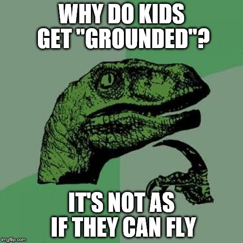Kids are not planes | WHY DO KIDS GET "GROUNDED"? IT'S NOT AS IF THEY CAN FLY | image tagged in memes,philosoraptor,kids,grounded | made w/ Imgflip meme maker