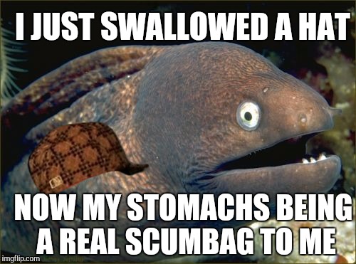 Well, you people wanted original, so here you go | I JUST SWALLOWED A HAT NOW MY STOMACHS BEING A REAL SCUMBAG TO ME | image tagged in memes,bad joke eel,scumbag,funny | made w/ Imgflip meme maker