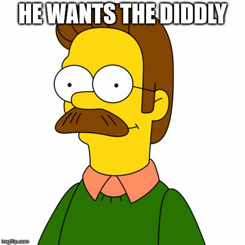 Ned Flanders | HE WANTS THE DIDDLY | image tagged in ned flanders | made w/ Imgflip meme maker