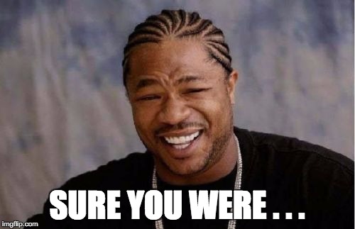 Yo Dawg Heard You Meme | SURE YOU WERE . . . | image tagged in memes,yo dawg heard you | made w/ Imgflip meme maker