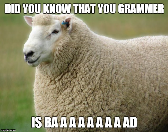 I Mea a a a aant to write Gramm"e"r | DID YOU KNOW THAT YOU GRAMMER IS BA A A A A A A A AD | image tagged in memes,animals | made w/ Imgflip meme maker