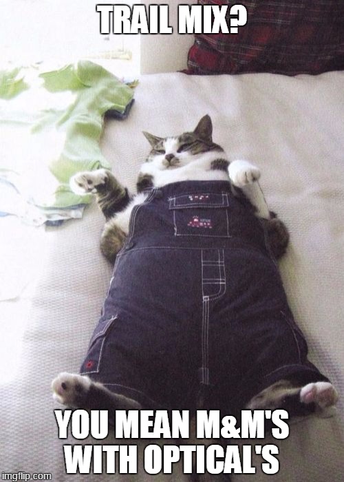 Fat Cat Meme | TRAIL MIX? YOU MEAN M&M'S WITH OPTICAL'S | image tagged in memes,fat cat | made w/ Imgflip meme maker