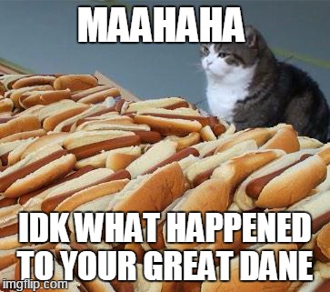 Too many hot dogs | MAAHAHA IDK WHAT HAPPENED TO YOUR GREAT DANE | image tagged in too many hot dogs | made w/ Imgflip meme maker