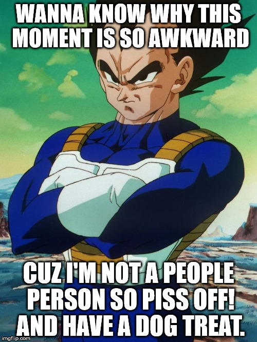 Vegeta | WANNA KNOW WHY THIS MOMENT IS SO AWKWARD CUZ I'M NOT A PEOPLE PERSON SO PISS OFF! AND HAVE A DOG TREAT. | image tagged in vegeta | made w/ Imgflip meme maker