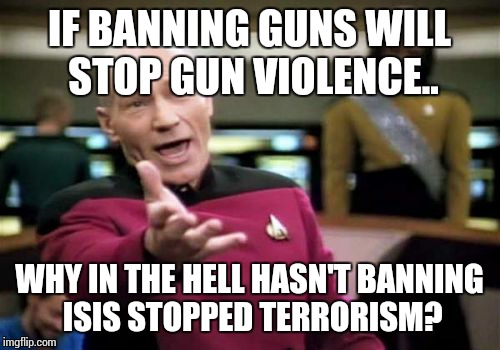 Picard Wtf | IF BANNING GUNS WILL STOP GUN VIOLENCE.. WHY IN THE HELL HASN'T BANNING ISIS STOPPED TERRORISM? | image tagged in memes,picard wtf | made w/ Imgflip meme maker