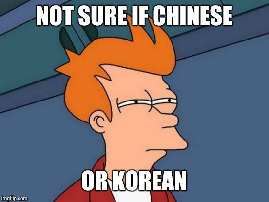 Futurama Fry Meme | NOT SURE IF CHINESE OR KOREAN | image tagged in memes,futurama fry | made w/ Imgflip meme maker
