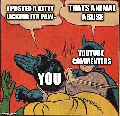 Batman Slapping Robin Meme | I POSTED A KITTY LICKING ITS PAW- THATS ANIMAL ABUSE YOU YOUTUBE COMMENTERS | image tagged in memes,batman slapping robin | made w/ Imgflip meme maker